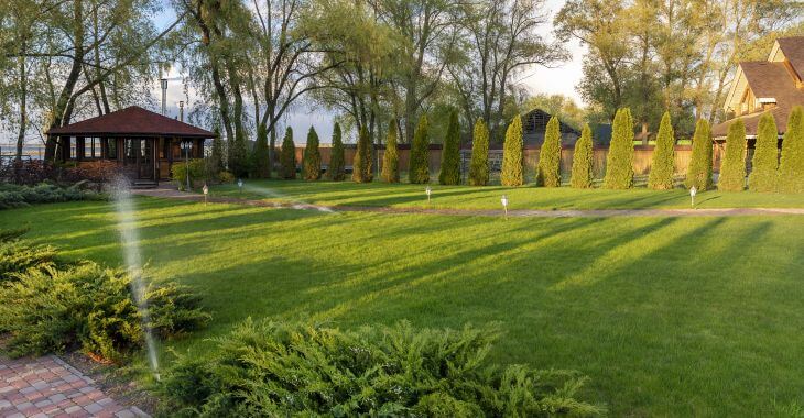 Backyard with lush healthy grass