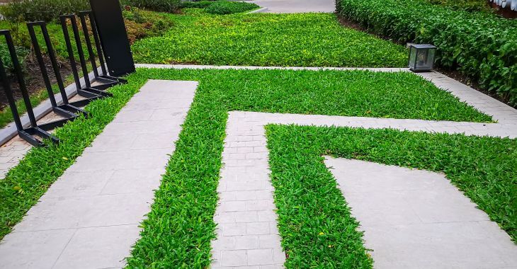 lush lawn with natural stone decorative pathway