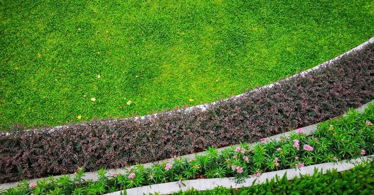 aerial view of a lush manicured lawn