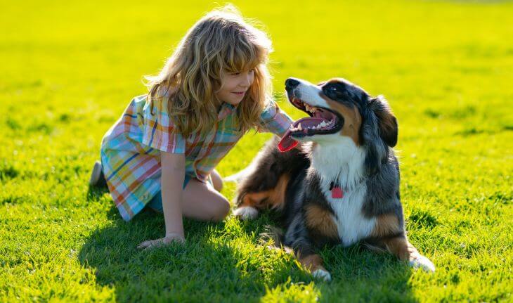 A girl playing with a dog on a yard lawn