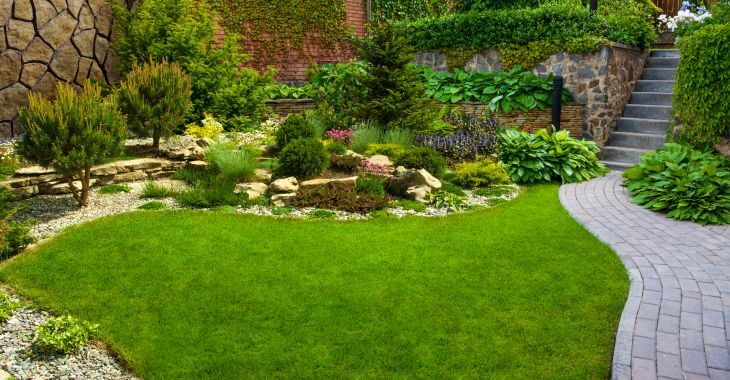 a backyard with healthy lush lawn